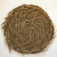 cardboard circle 08 #9