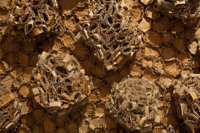 Burkshire Museum 2010