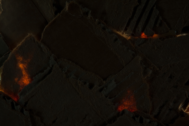 Wassaic Project August 2010