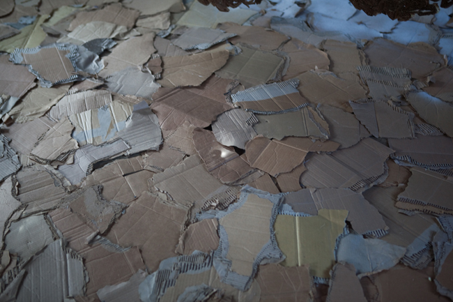 Wassaic Project August 2010