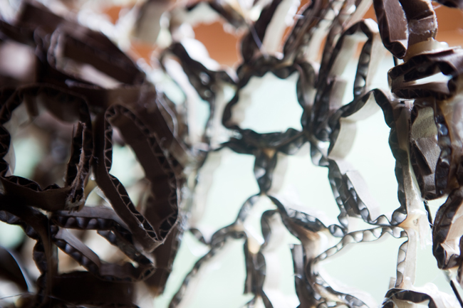 Wassaic Project August 2010