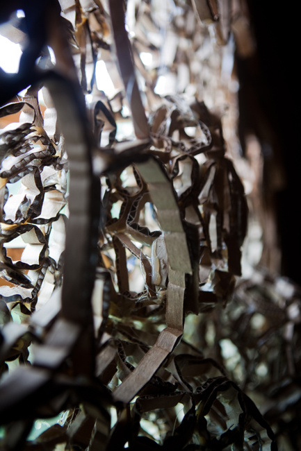 Wassaic Project August 2010