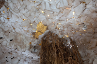 wassaic 2010 seventh floor installation