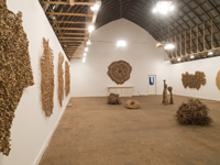 The Re Institute 5-2010