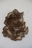 henry klimowicz 2013