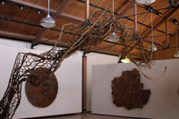 Morrison Gallery 2013