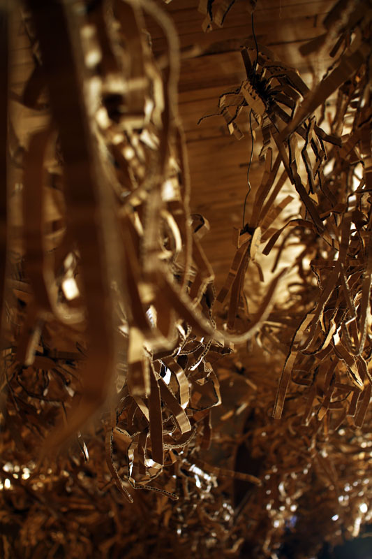 Wassaic Project     Tides of Time