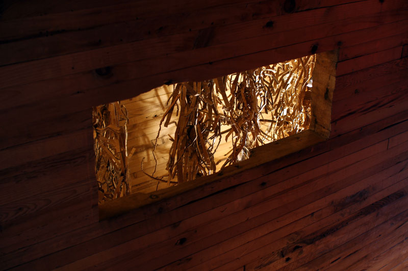 Wassaic Project     Tides of Time