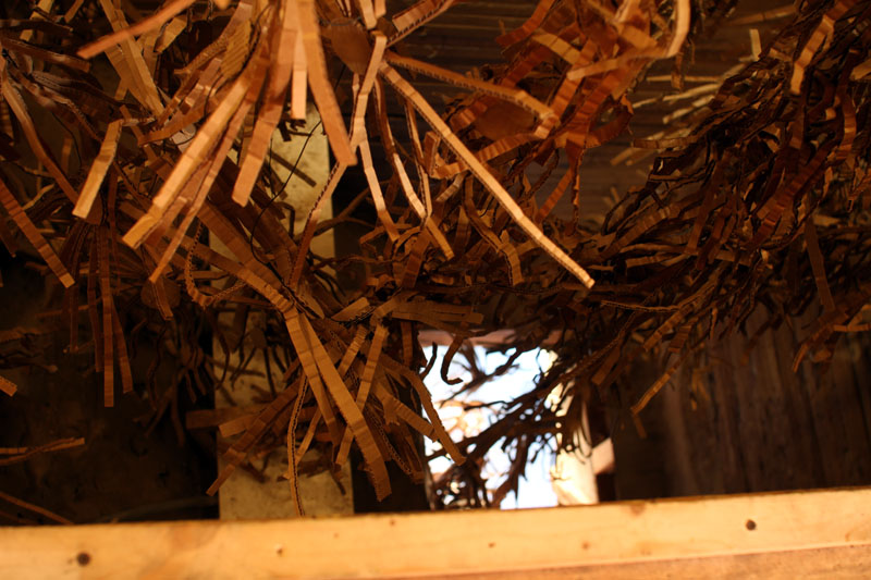 Wassaic Project     Tides of Time