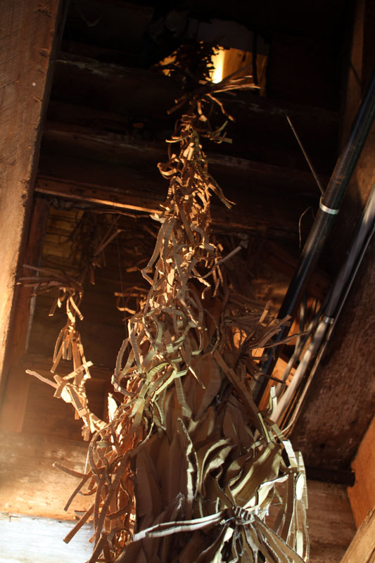 Wassaic Project     Tides of Time