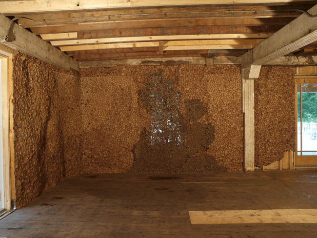 Wassaic Project 2009 "bottle caps and bee hives"