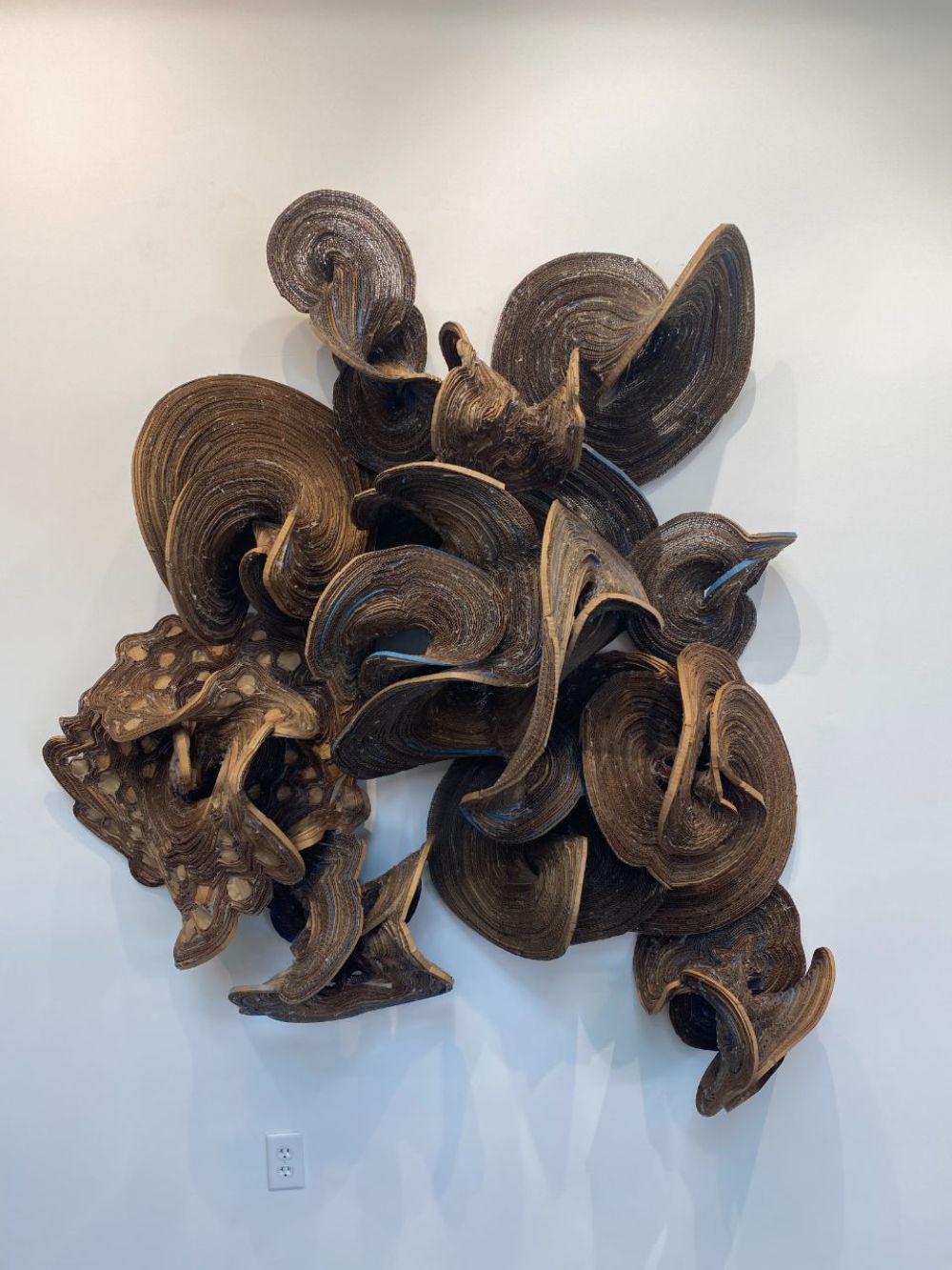 LikeALichenLarge1_2018