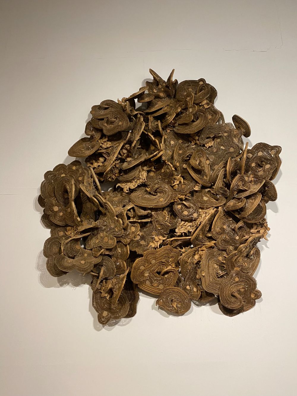 LikeALichenLarge3_2024