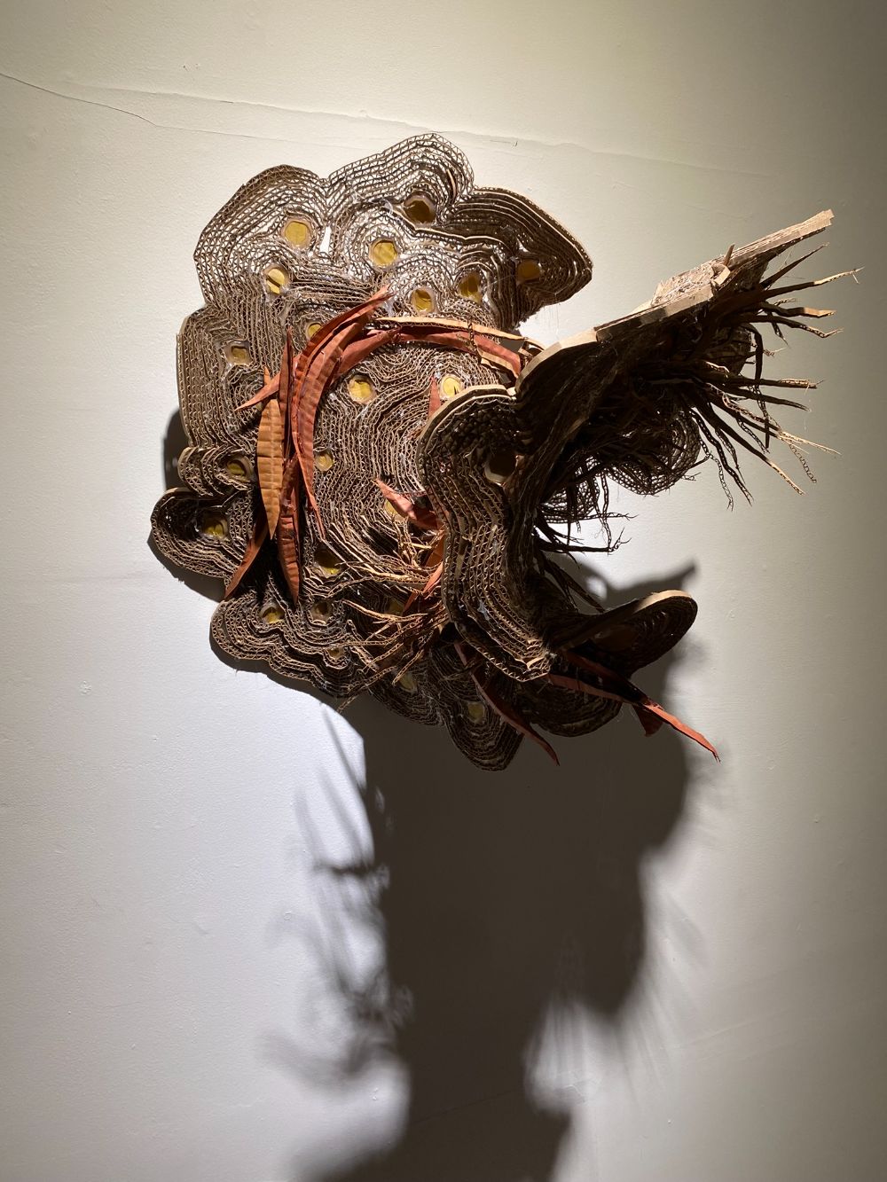 licken with paint_2023